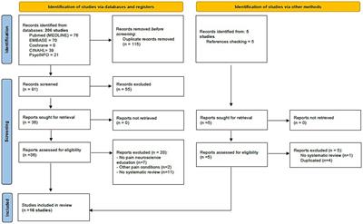 Pain neuroscience education in patients with chronic musculoskeletal pain: an umbrella review